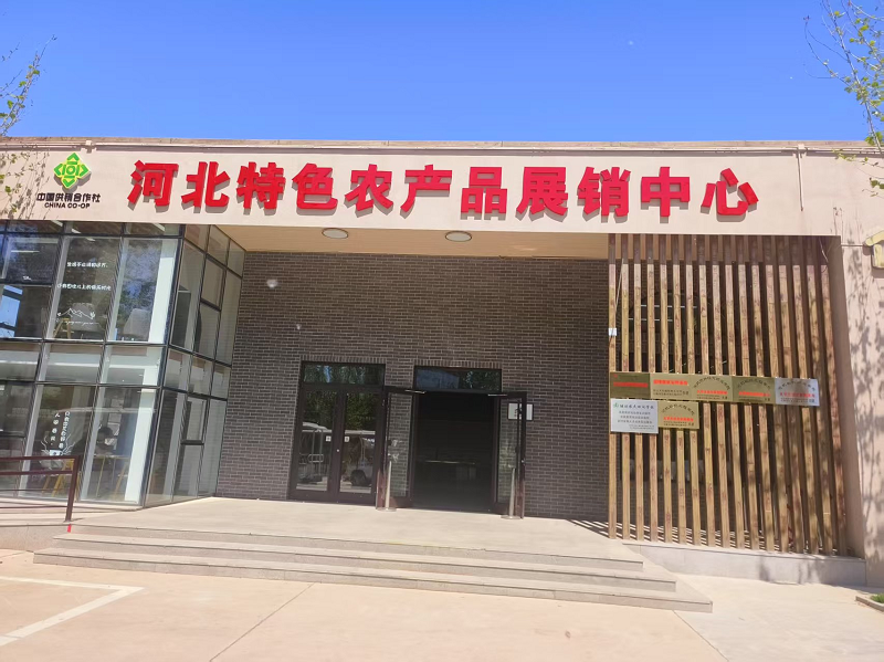 北戴河村河北特色农产品展销中心正式启幕——省供销社赋能村集体经济，打造乡村振兴新窗口