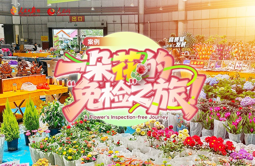 高质量发展故事汇