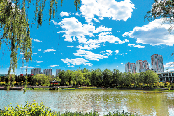晴湖翠柳 丽景凝芳